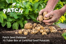 2Kg Certified Seed Potatoes -