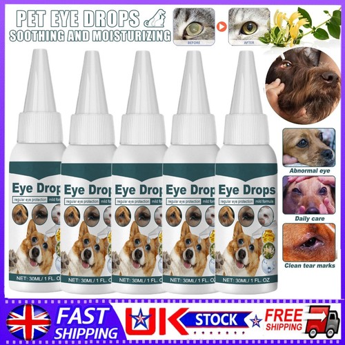 2026 conjunctivitis treatment - 2026,