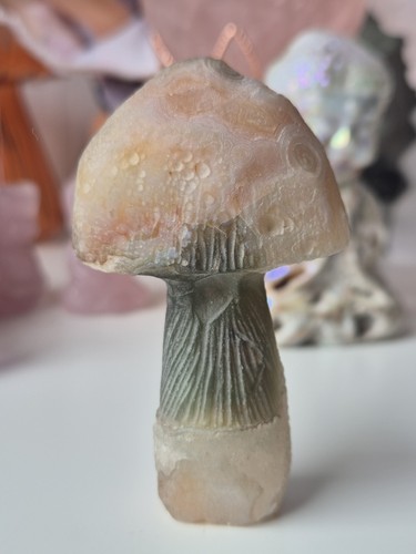 Rare gobi agate - rare, mushroom