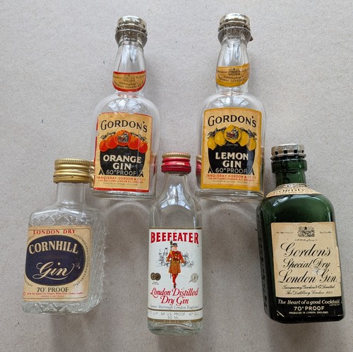 Miniature gin bottles - miniature,