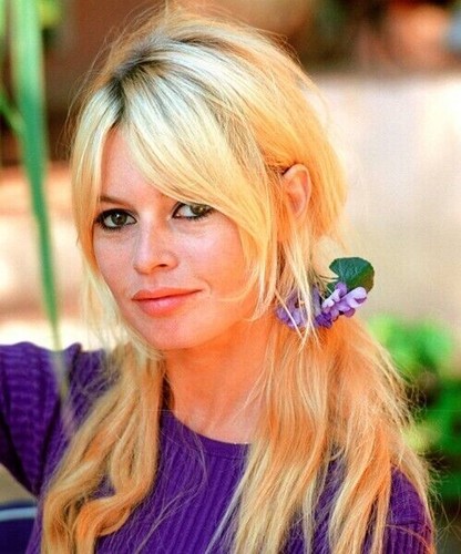 Brigitte bardot unsigned x - unsigned, 10"
