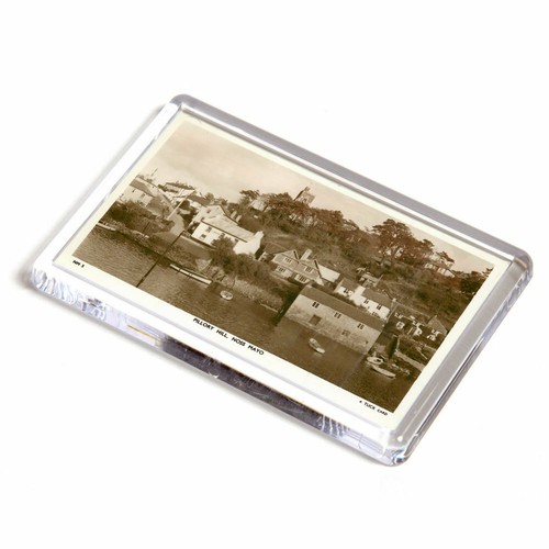 Fridge magnet vintage devon - -,