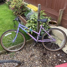 Falcon Expressions Ladies