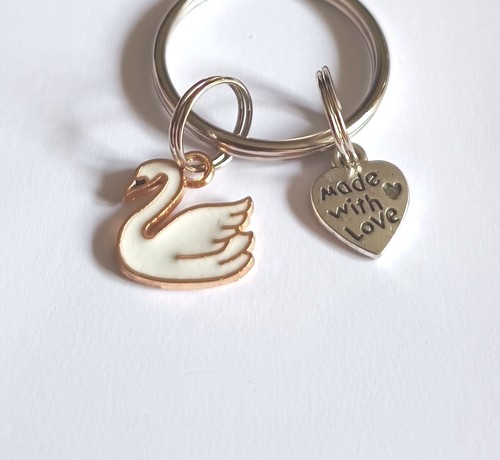 Beautiful little white swan - little,