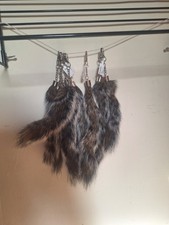 Taxidermy Squirrel Tail