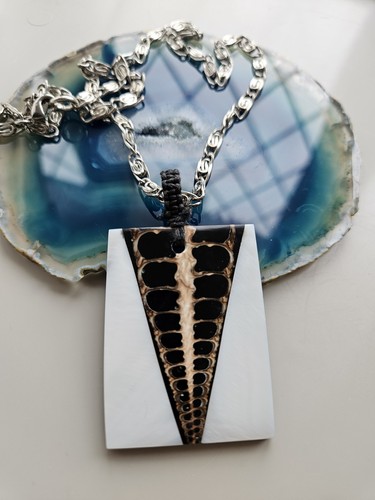 Shell fossil mother pearl - shell,
