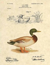 Antique Decoy Duck Hunting
