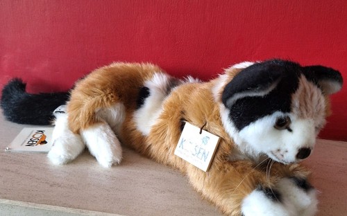 Kosen lucky cat - lucky, with