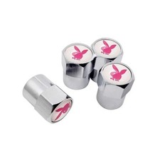 X4 TYRE VALVE DUST CAP