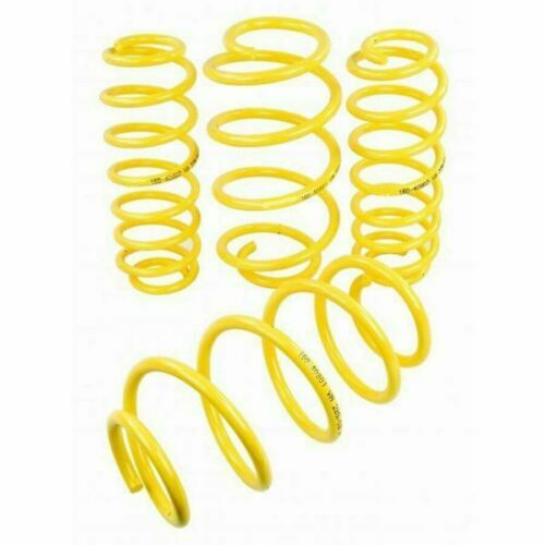 Max lowering springs for - springs,