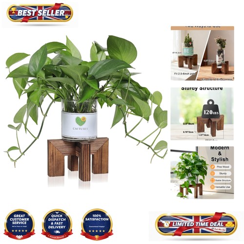 Elegant walnut wood - elegant,