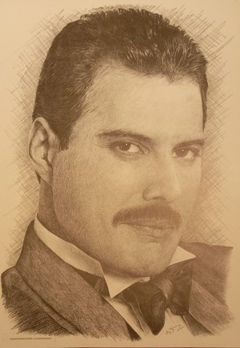 Freddie mercury pencil drawing - freddie,
