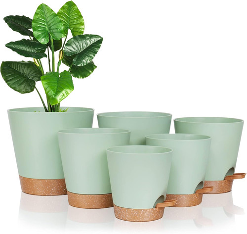 Self watering plant pots - plant,