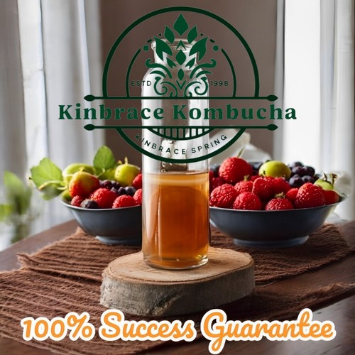 Kombucha scoby organic - kombucha, "organic