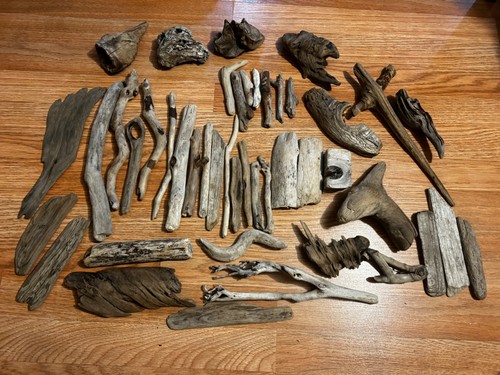 Driftwood beachwood lot - beachwood, small