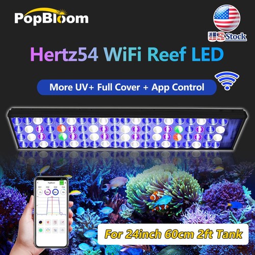 Popbloom h54 reef - h54, wifi