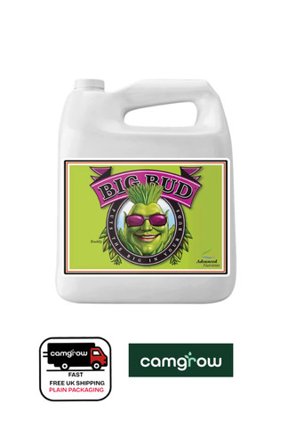 Advanced nutrients big bud - big,