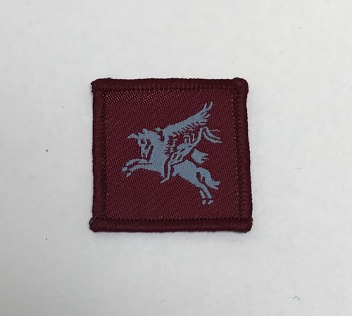 Parachute small pegasus - parachute,