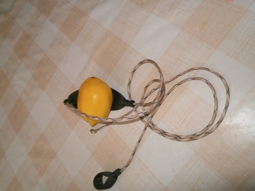 Shepherd sling webbing and - sling,