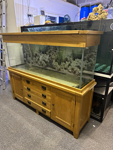 420l aquaoak fish tank - fish,
