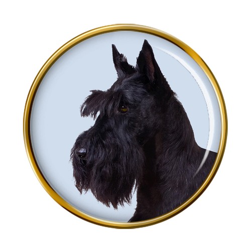 Scottish terrier dog - scottish,