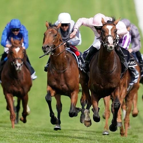 Simple step lays horse - simple,