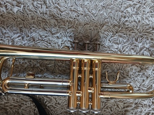 Unbranded trumpet equivalent - trumpet,