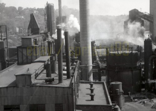 Coke plant hudson valley - plant,