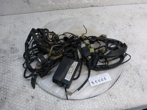 Bimota bb1 wiring harness - wiring,