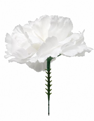 X10 white carnation picks - white,