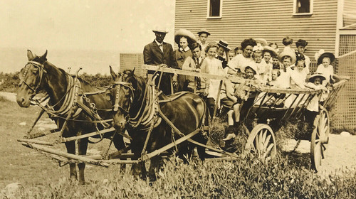 Rppc horse team - rppc, hay