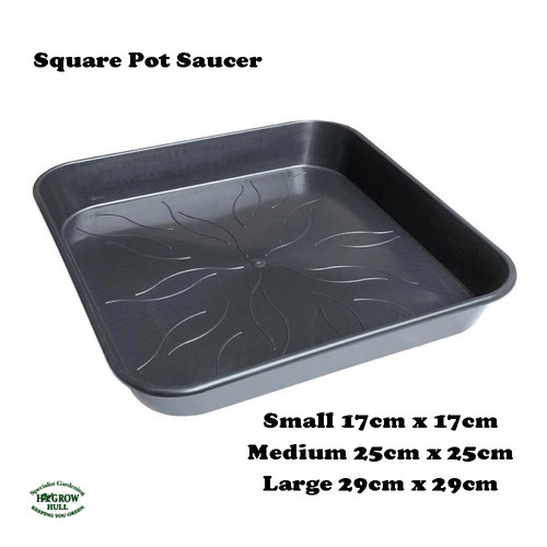 Square plastic plant pot - square,