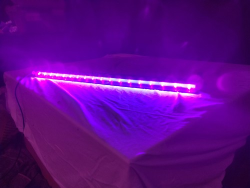 Chauvet slim strip 18 - dj, uv-18