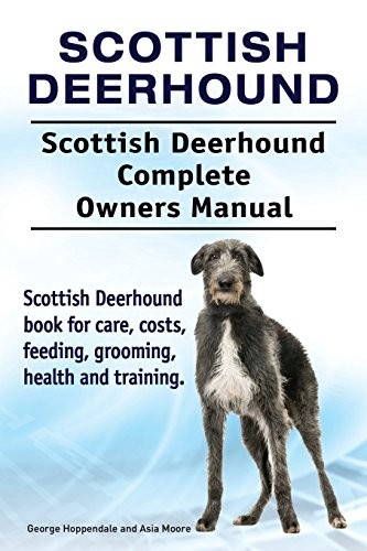 Scottish deerhound - scottish, deerhound.