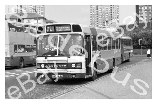 Bus photograph kelvin scottish - bus,