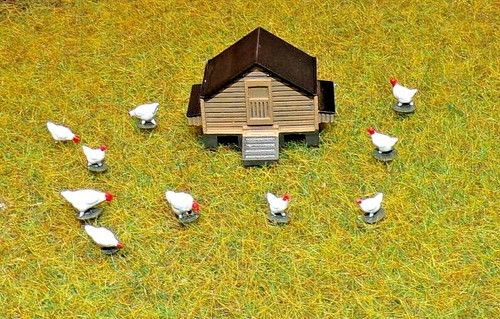 Gauge chicken coop - 00, and