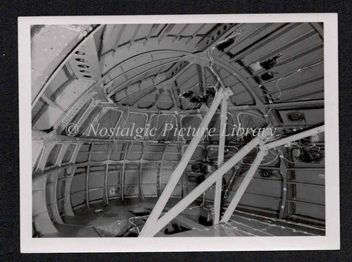 Original photo view shorts - view, of