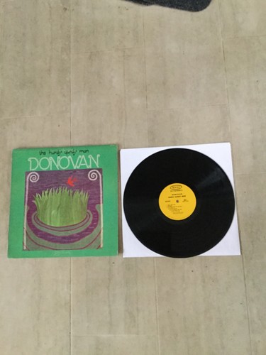 Donovan hurdy gurdy - ,