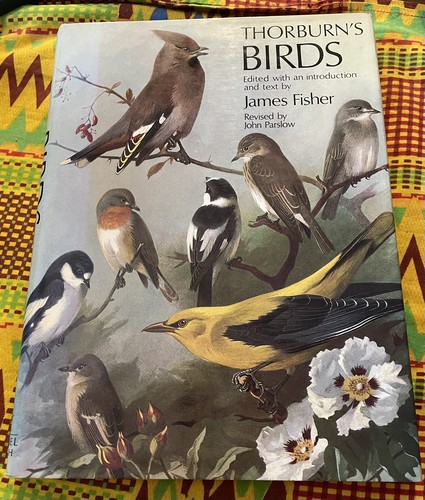 Thorburn birds beautiful - thorburn's, (beautiful