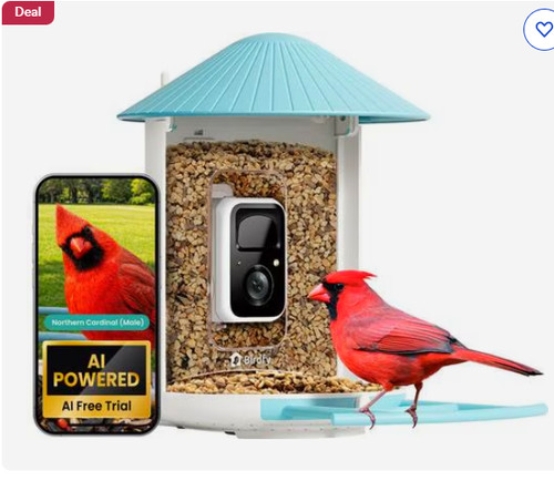 Netvue 1080p smart bird - smart, feeder