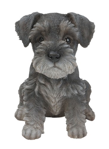 Vivid arts pet - pal, dogs