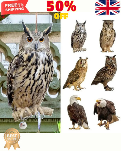 Owl decoy bird - bird, deterrent