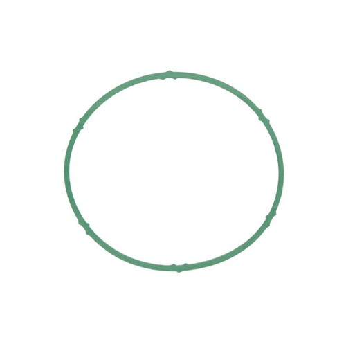 Intake manifold gasket - 1x,