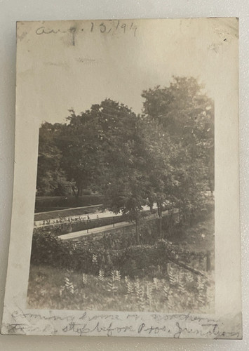 1919 photo elephant - 1919,