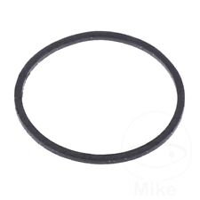 Athena Exhaust Gasket