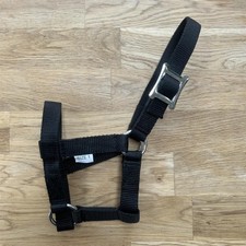 Small Foal Slip Halter PP