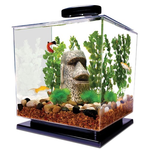 Tetra gallon fish - gallon, tank