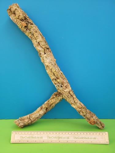 Cork bark branch - 45cm, snake