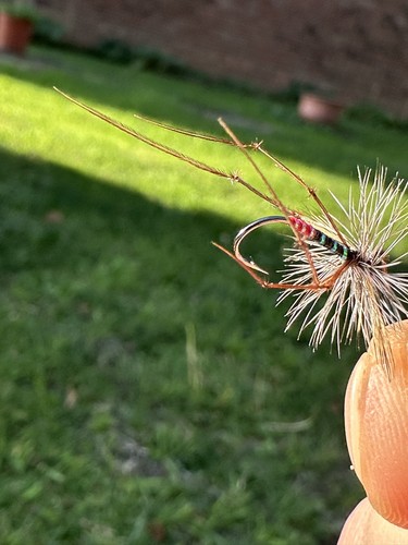 Handmade trout flies set dry - flies,