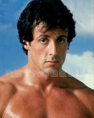 Poster sylvester - poster, of
